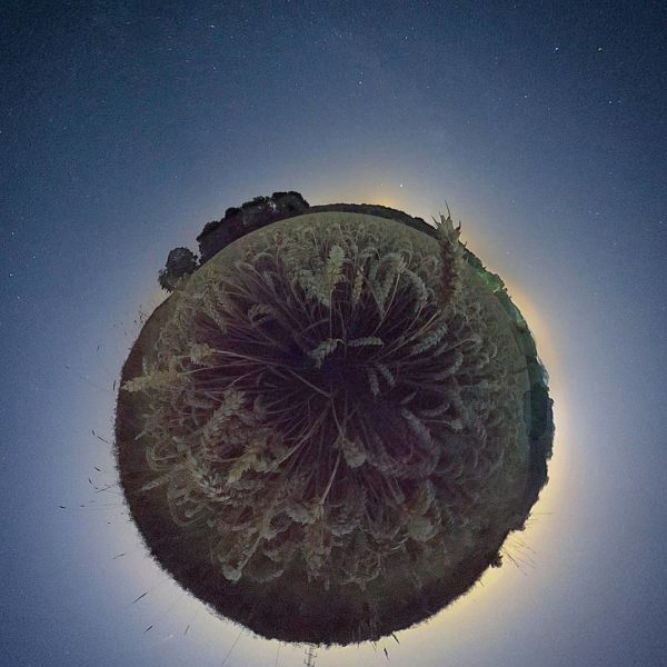 360° Foto eines Kornfeldes bei Nacht. Das Kornfeld wirkt wie ein Foto der Erde