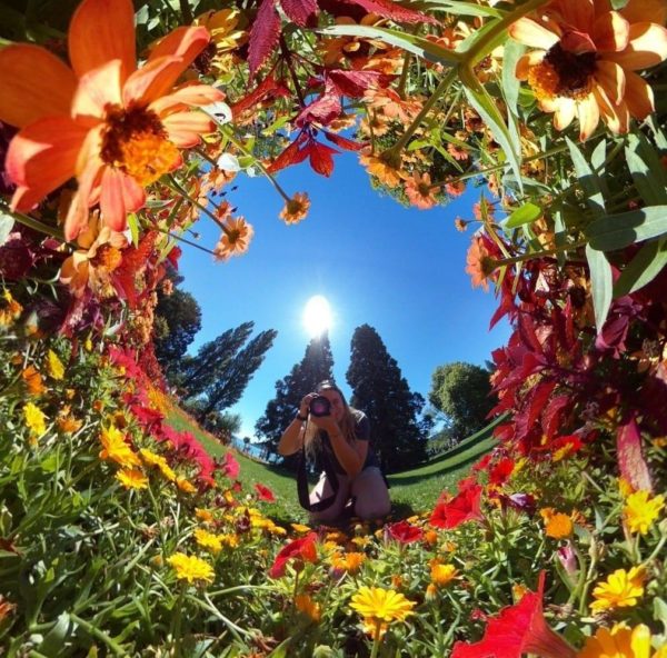 360 Grad Foto aus einem Blumenmeer mit Michelle in der Mitte mit einer Kamera in der Hand